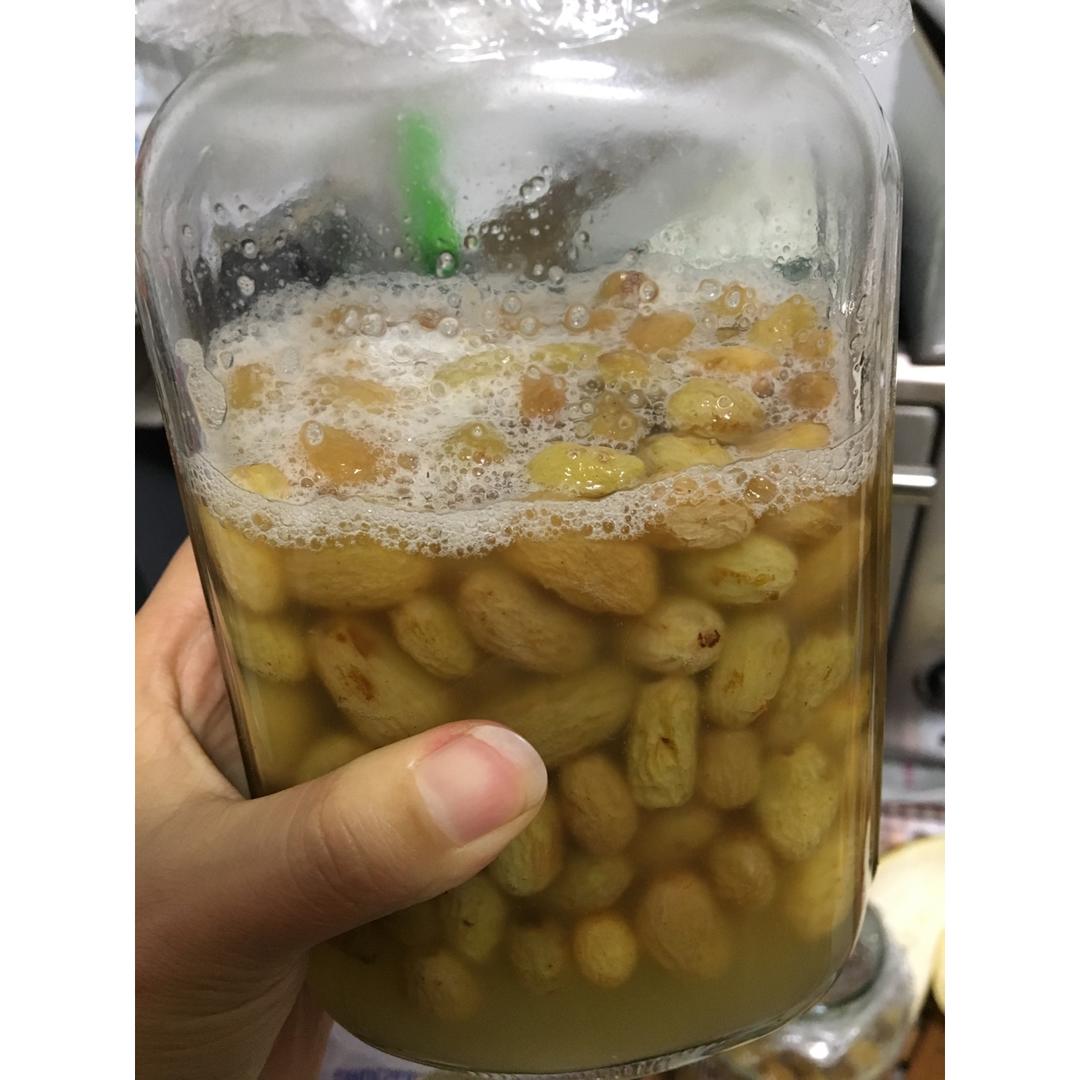 天然酵母之魯邦種