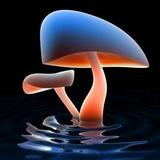 幻影毒蘑菇
