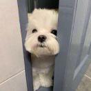 菜心儿__