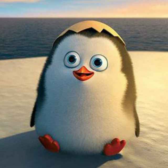 Cute-Penguin