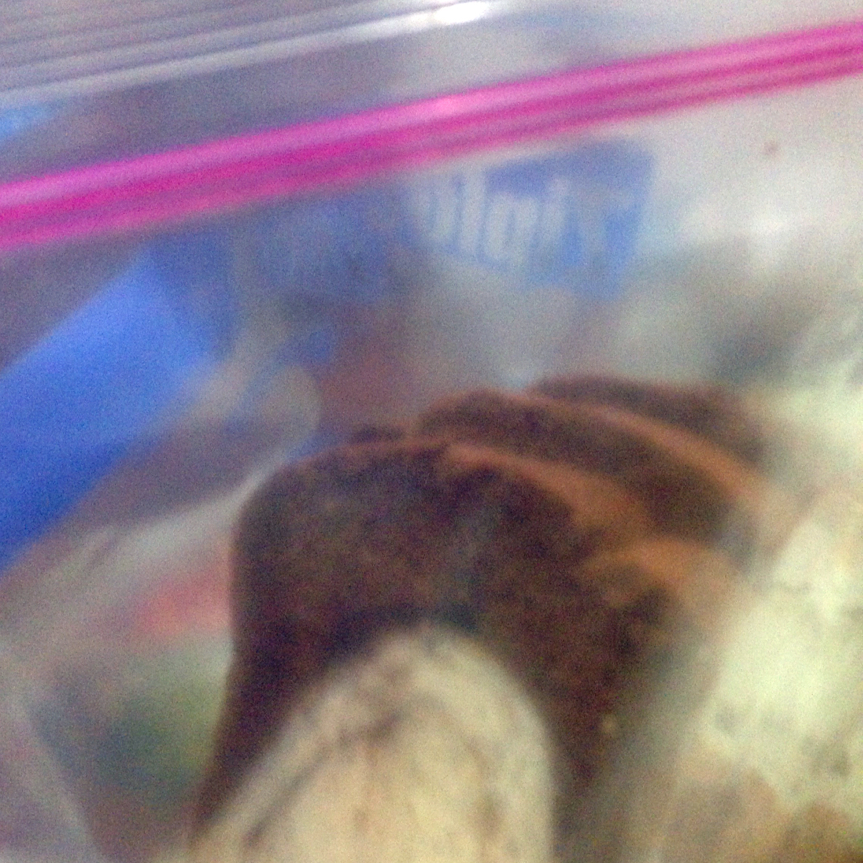 超级好次的黑钻吐司