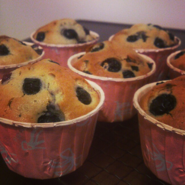 藍莓酸奶麥芬 Blueberry Yogurt Muffin