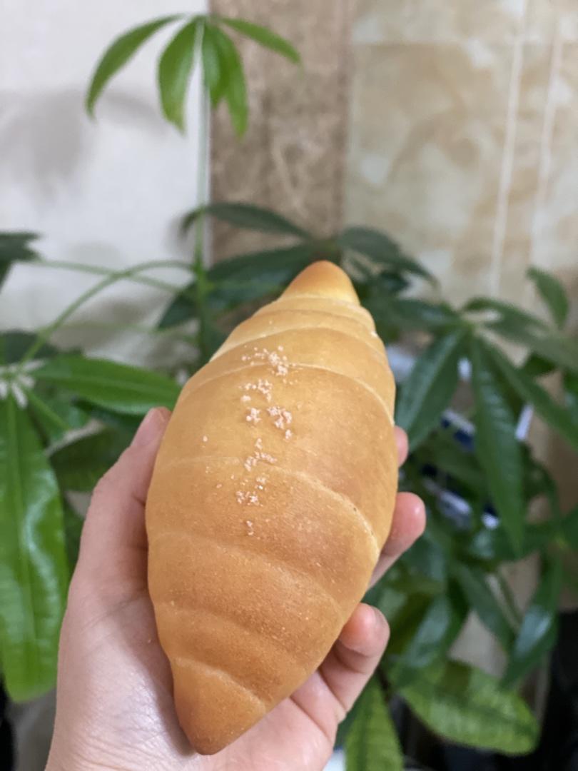 假想国的温柔 日式盐面包