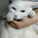佳莹-18