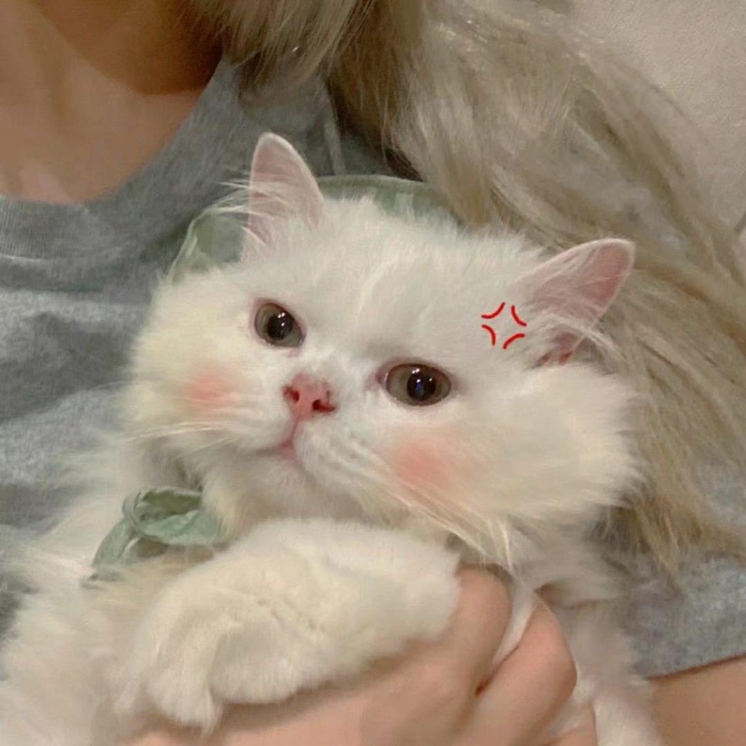 一万份美好总有一份是我的
