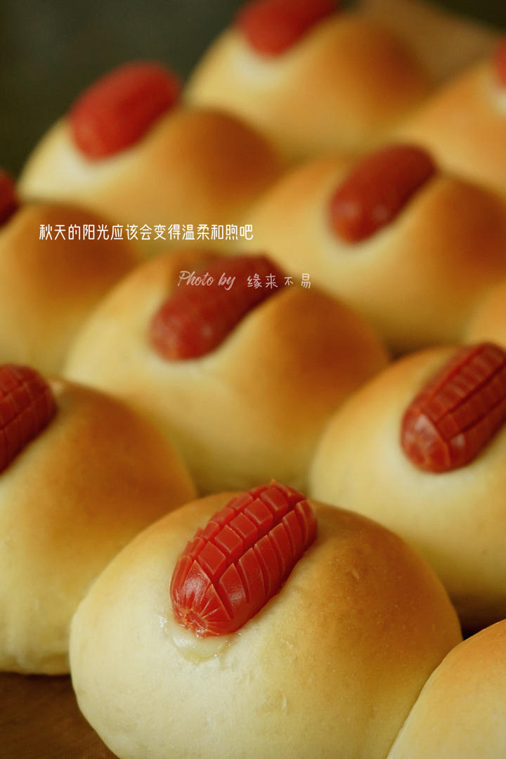 肠仔包-最新超级简单的懒人整形方法