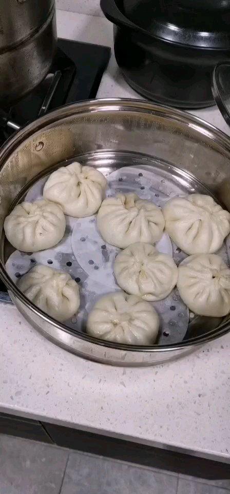 鲜肉包子（附 厨师机揉面方法）