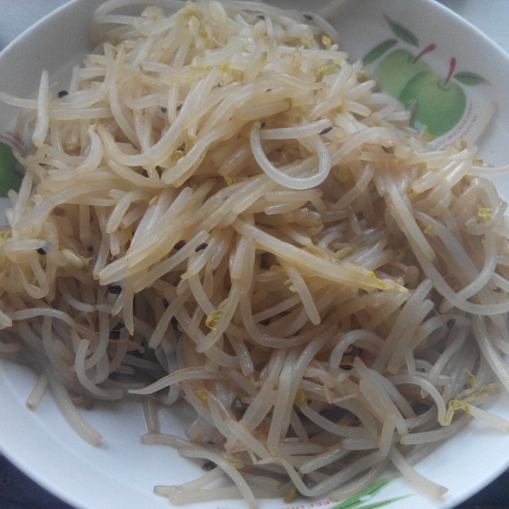 炒豆芽