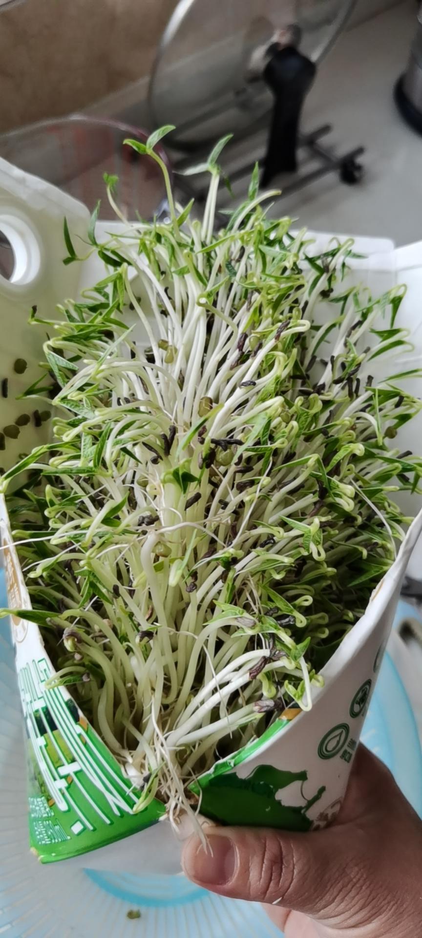 教你一招，学会了就可以做到绿豆芽自由