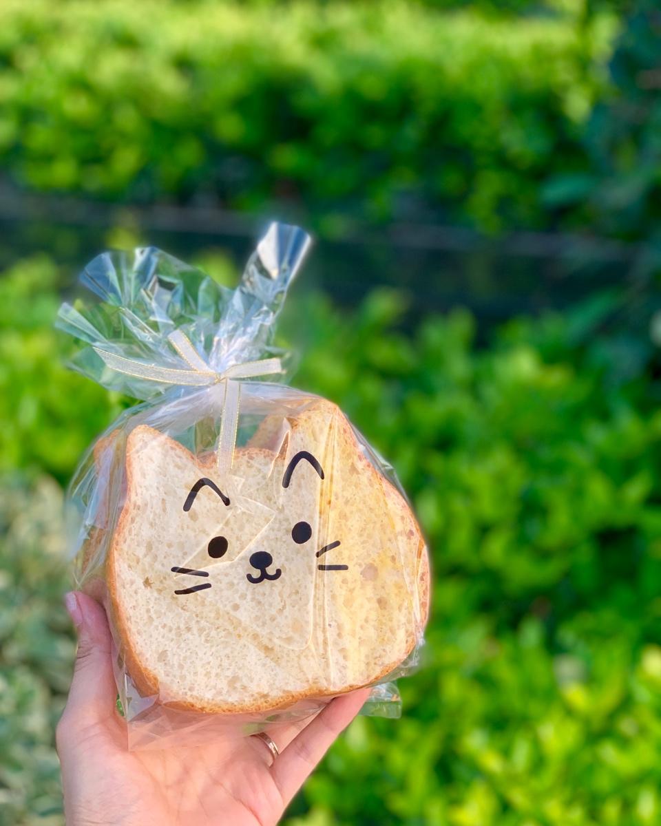 只需一次发酵的椰浆吐司，椰香浓浓