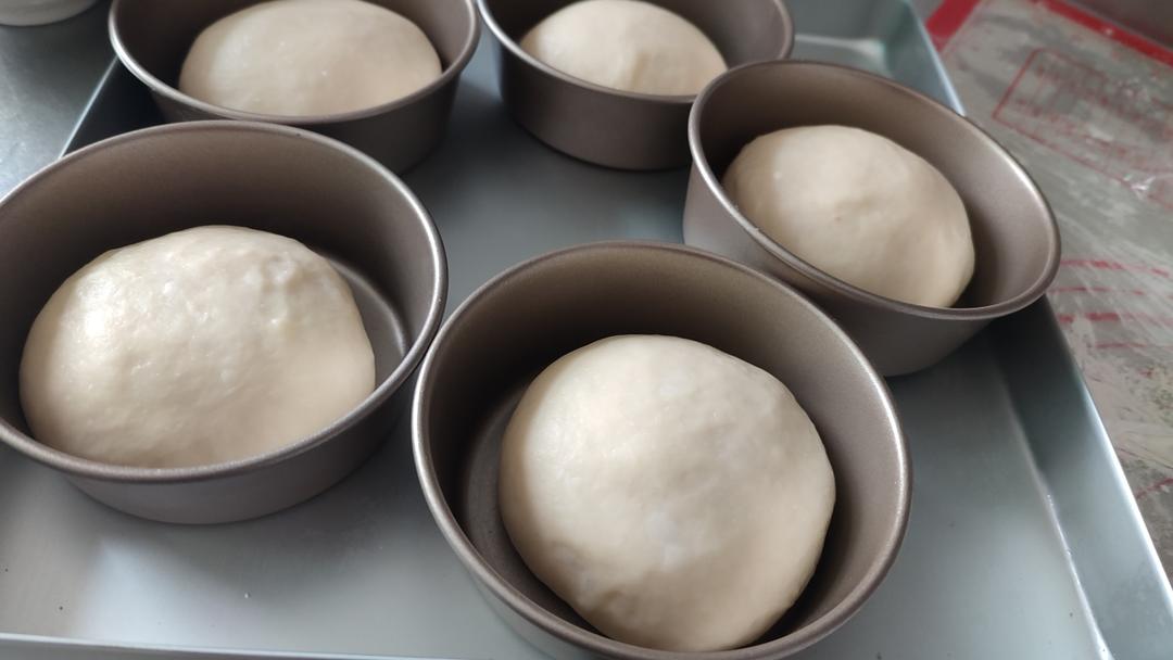 记录一个超级软的万用汉堡胚（波兰种）