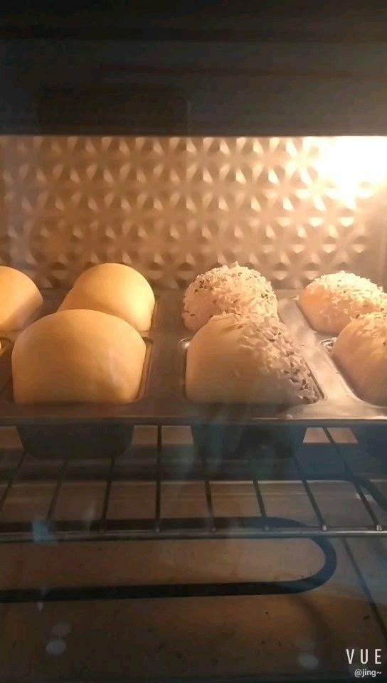 南瓜全麦热狗包汉堡胚 50%全麦 无油低糖高纤维