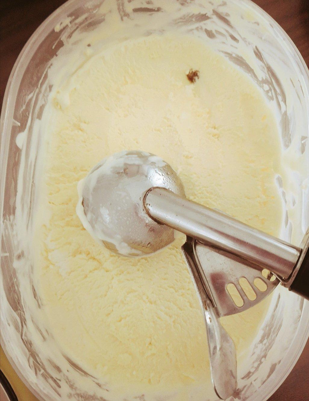 朗姆黑加仑冰淇淋 Rum Raisin Ice cream