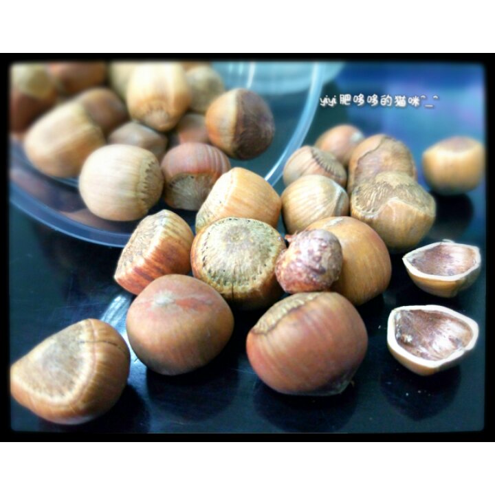 坚果控