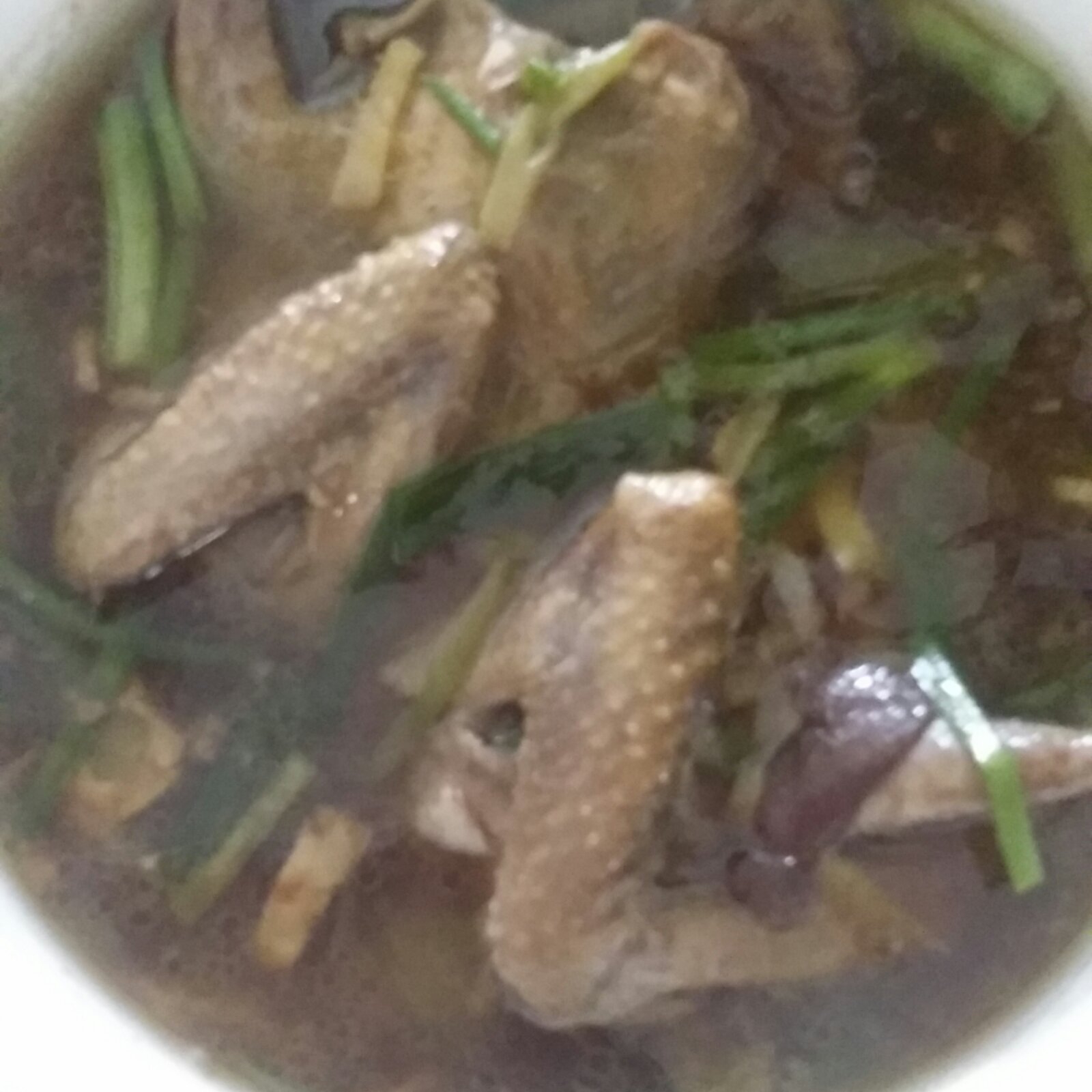 枣杞乳鸽汤