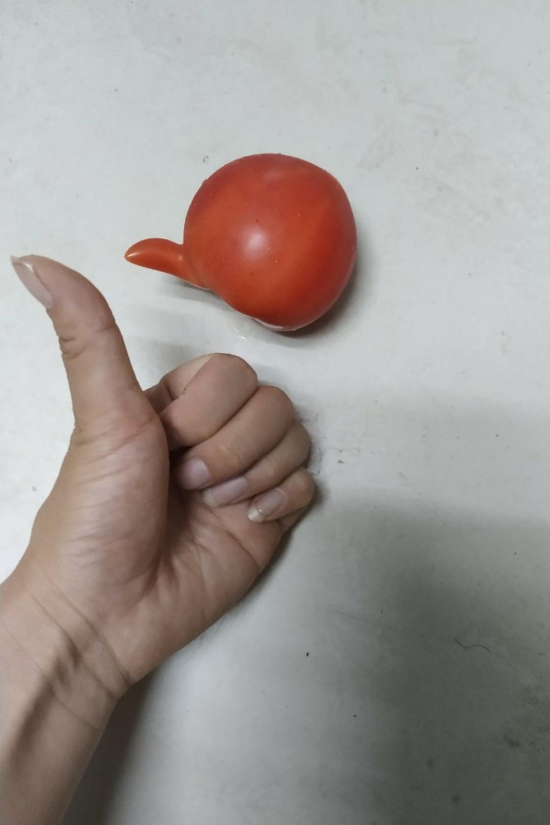 韩剧中的鸡蛋卷