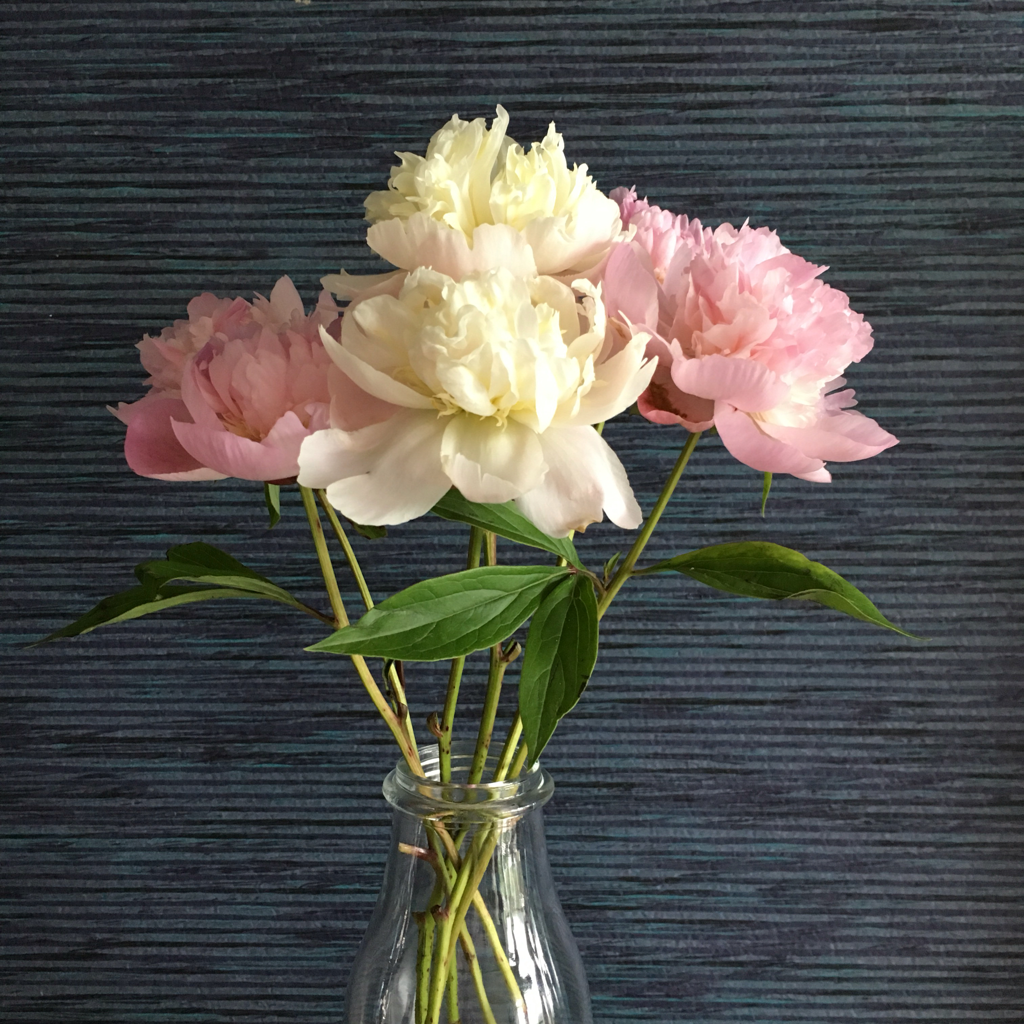 花，一辈子爱上你