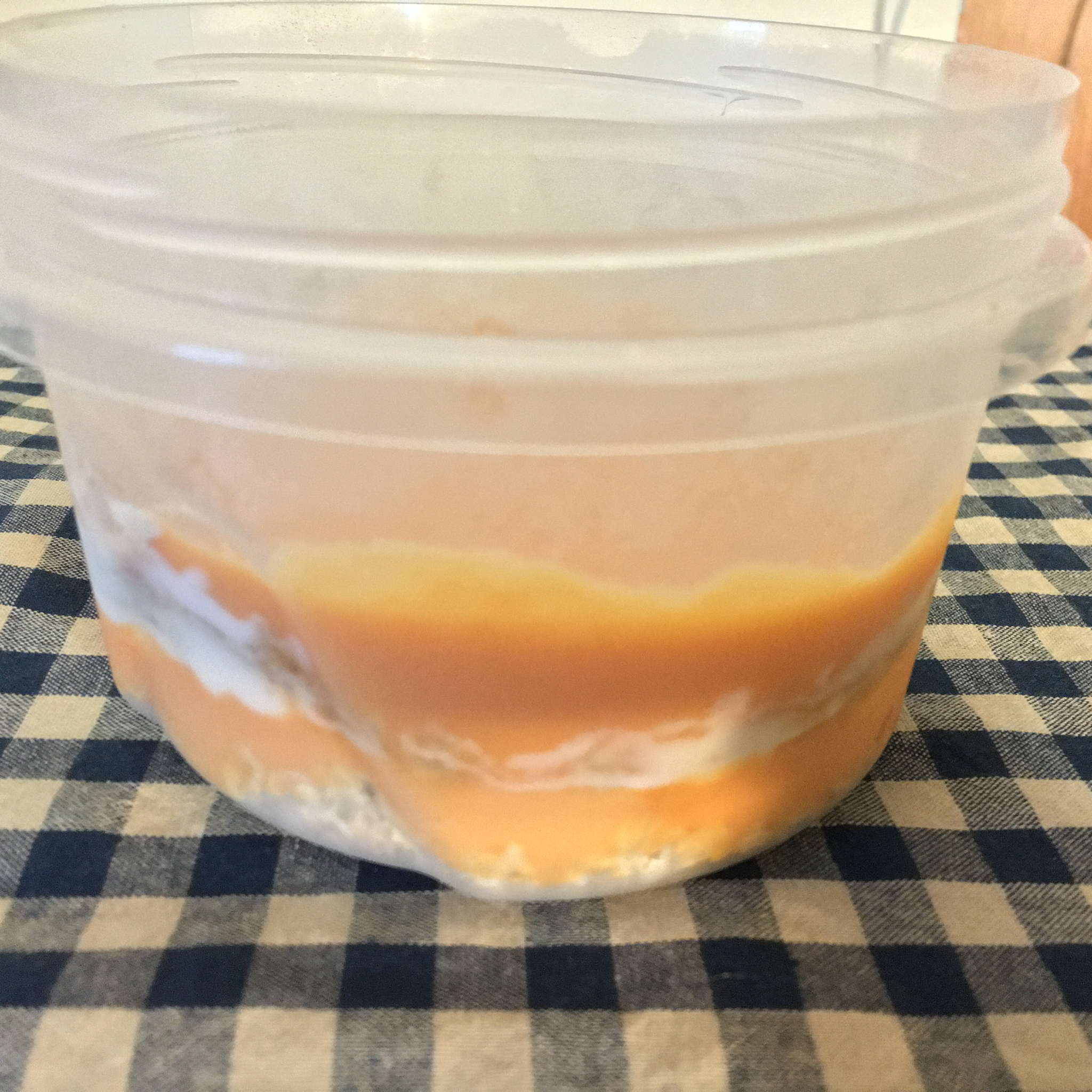 Overnight Oatmeal 隔夜早餐燕麦杯