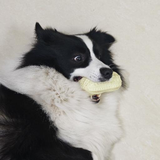 喜多多小鸡仔