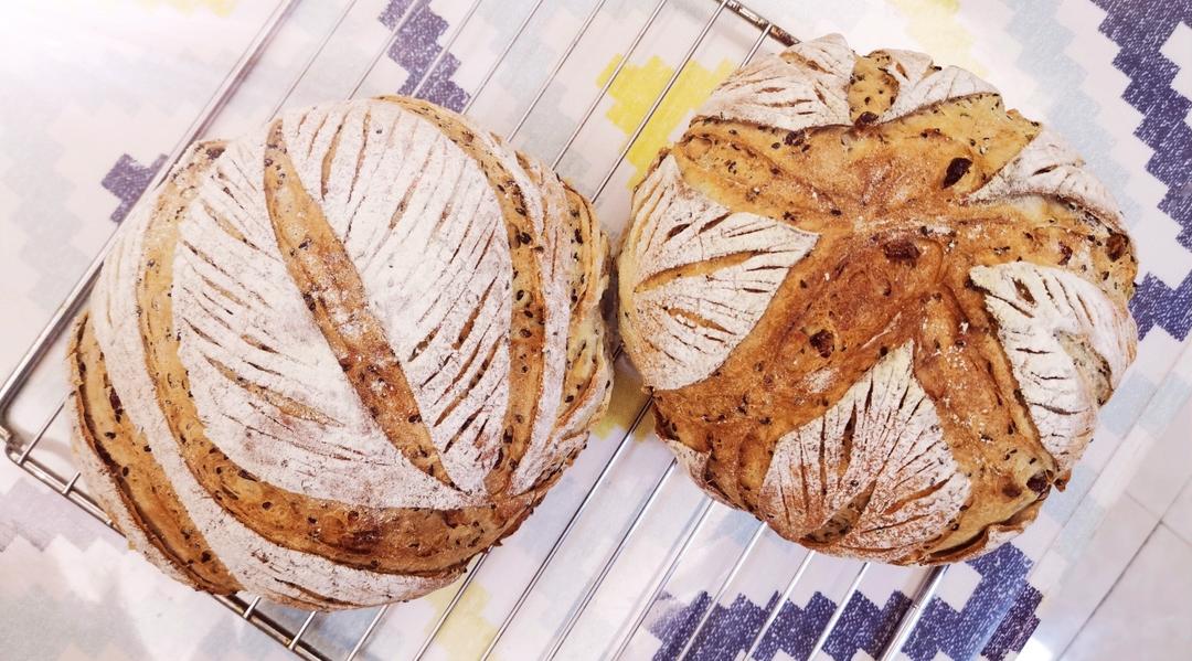 提子干全麦软欧包