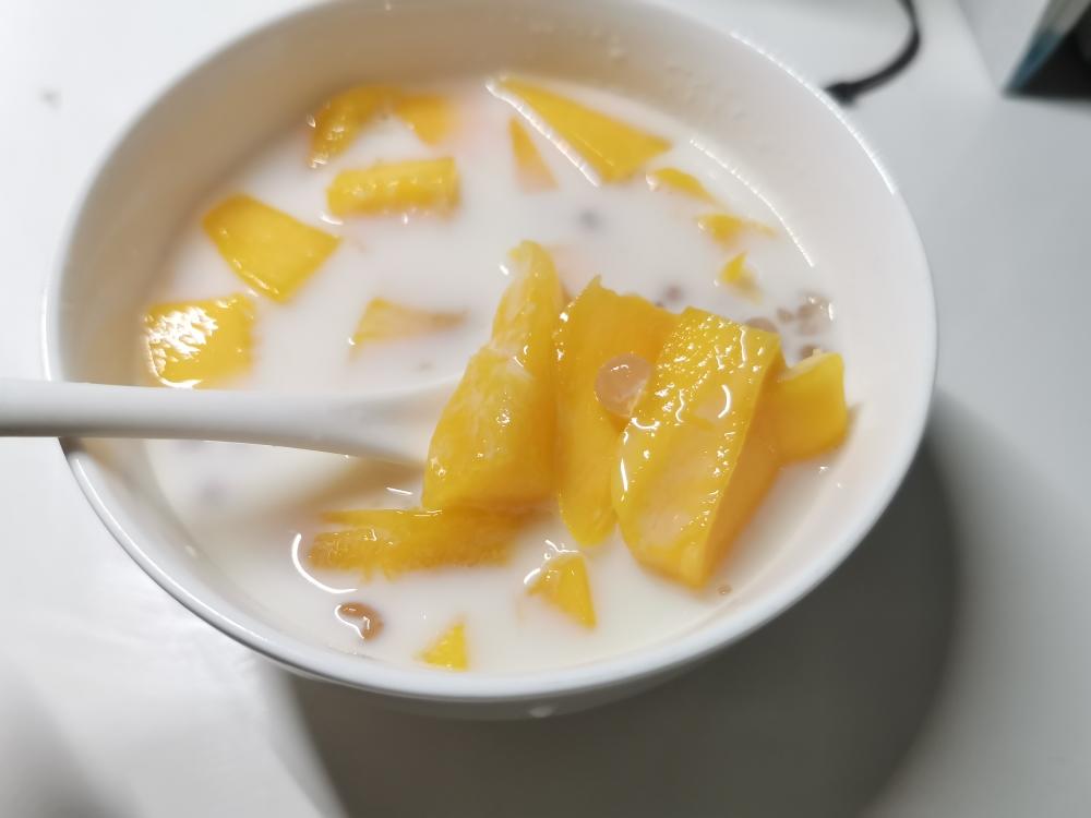 芒果牛奶西米的做法