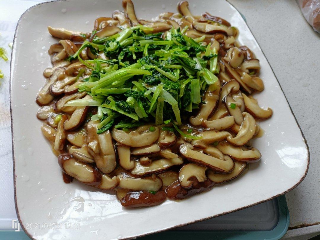 青菜烧香菇