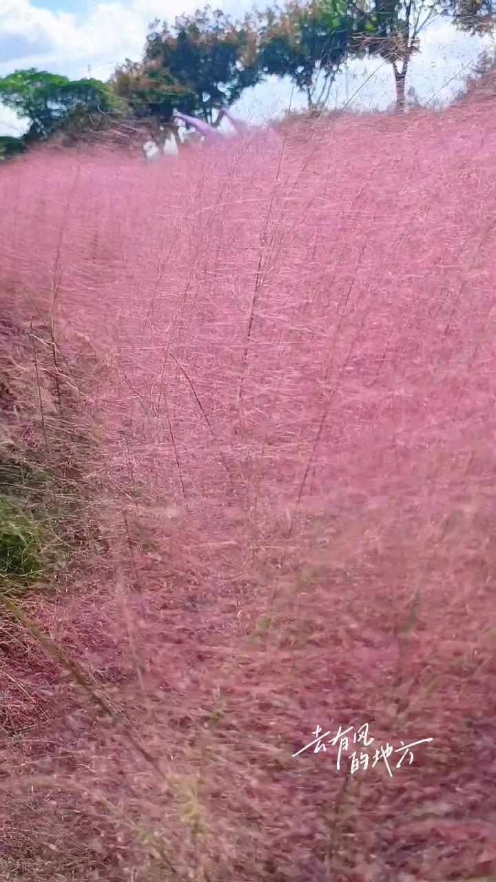 生活碎记