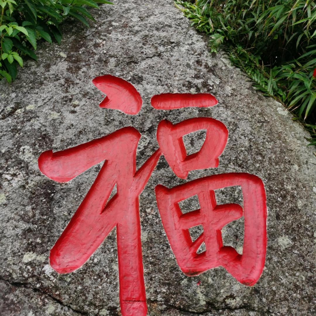 美好你好