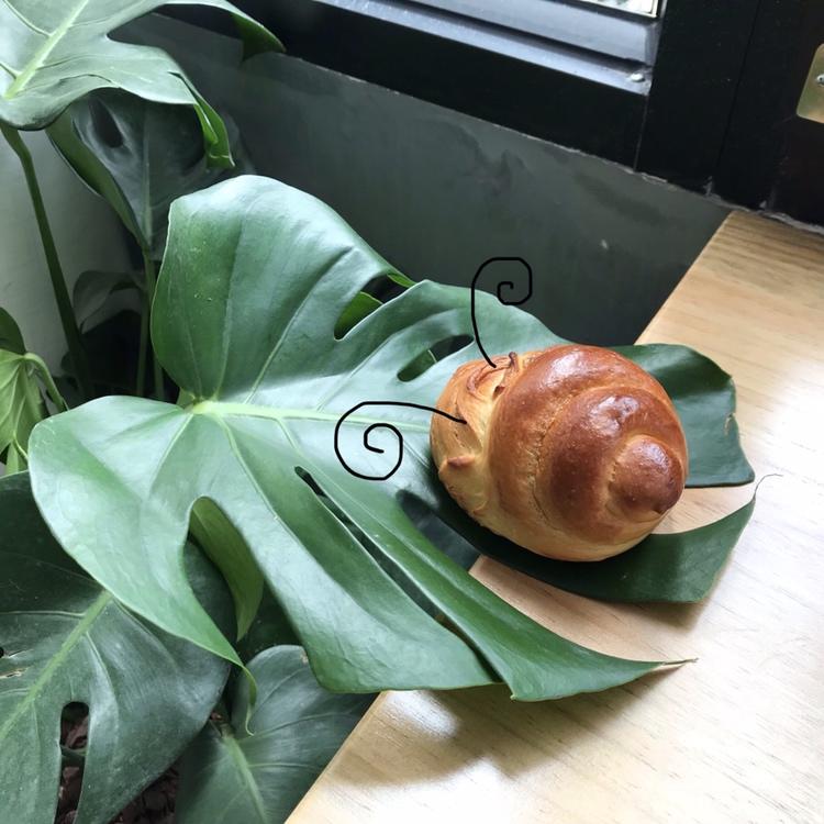 撸面包🍞