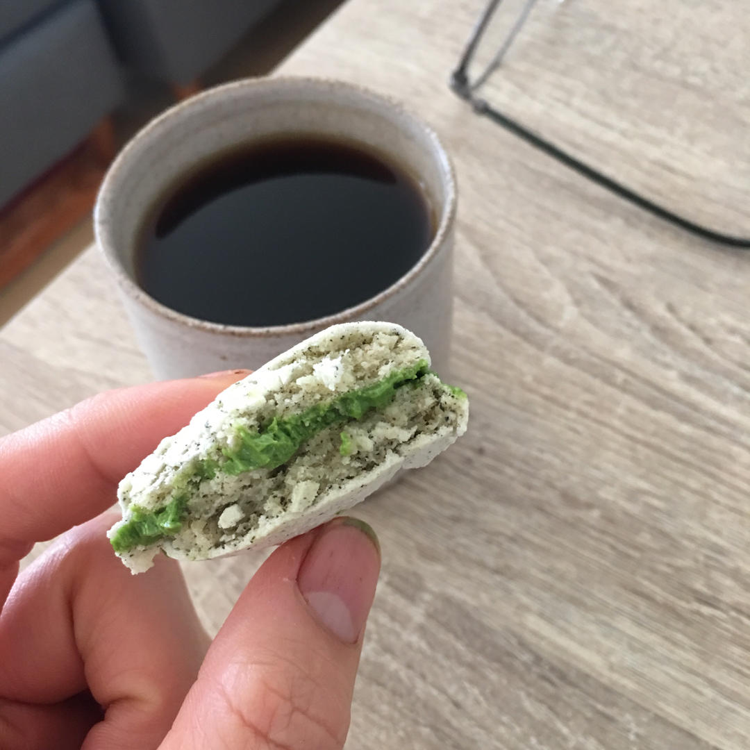 终于我也走上了磕马的道路