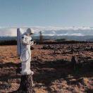 手机用户4667_r6vh