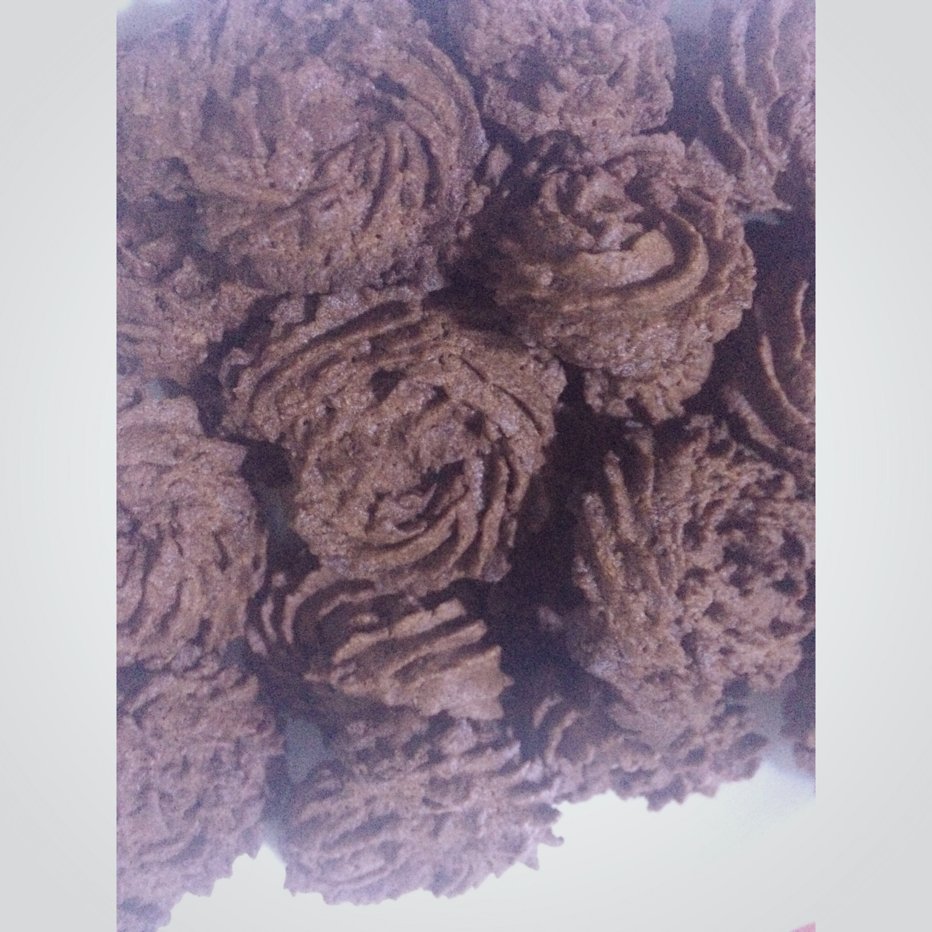 多种口味曲奇（香草、巧克力、抹茶）