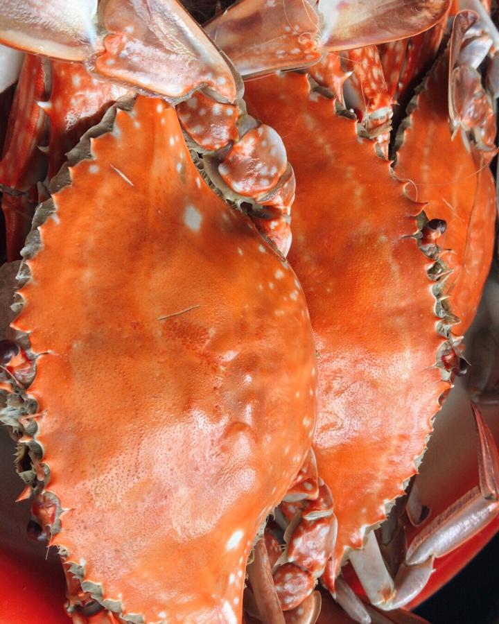 清蒸螃蟹（梭子蟹）