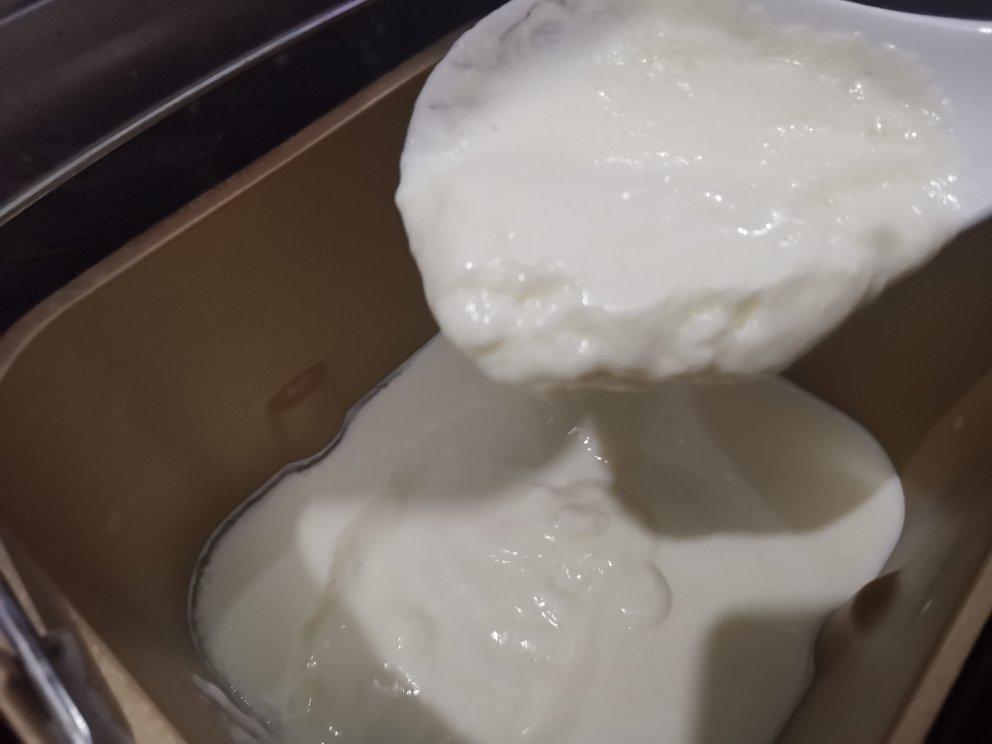 酸奶面包机版（柏翠）