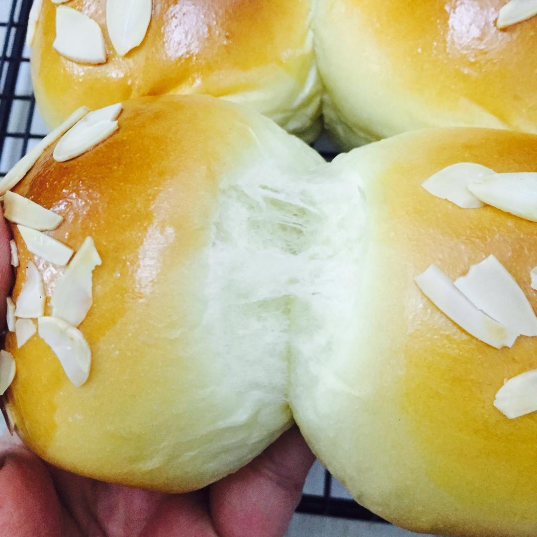 鲜奶油小餐包（一次发酵）