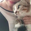 爱吃樱桃的小丸子丸子