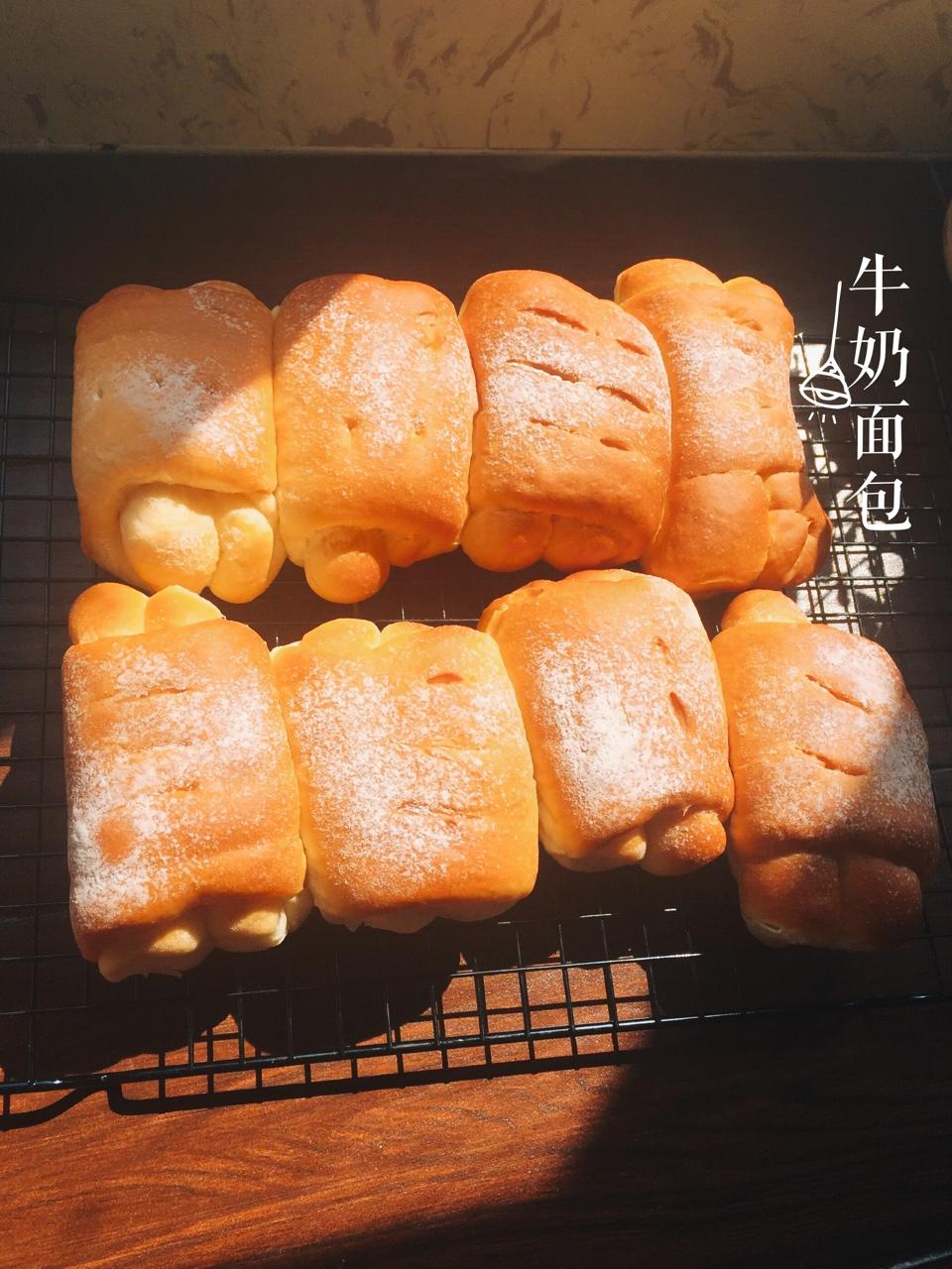 软到不知所措的牛奶卷