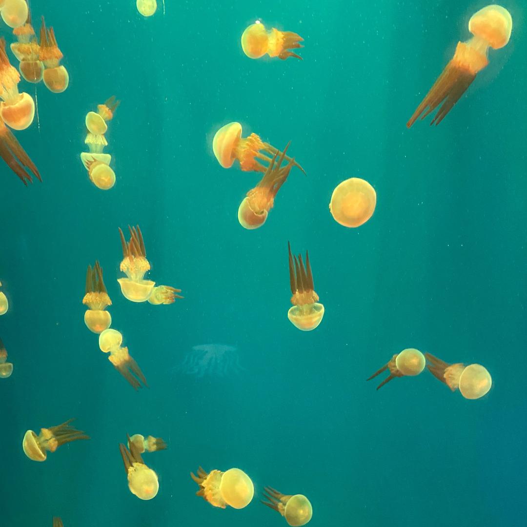 爱尚窗帘布艺家纺