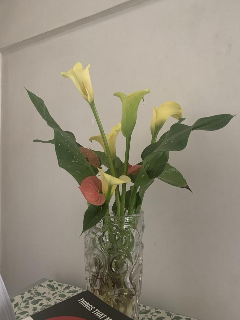 花花世界