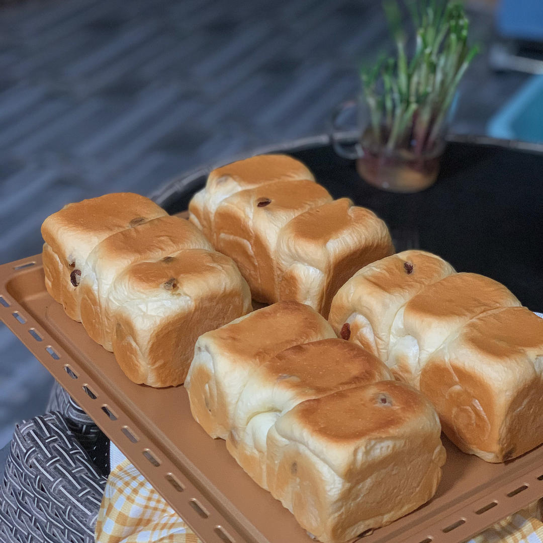 提子吐司，黄提奶油闪亮吐司