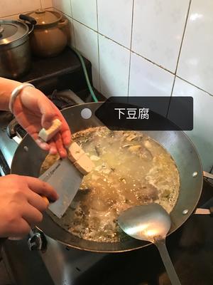 泥鳅炖豆腐的做法 步骤6