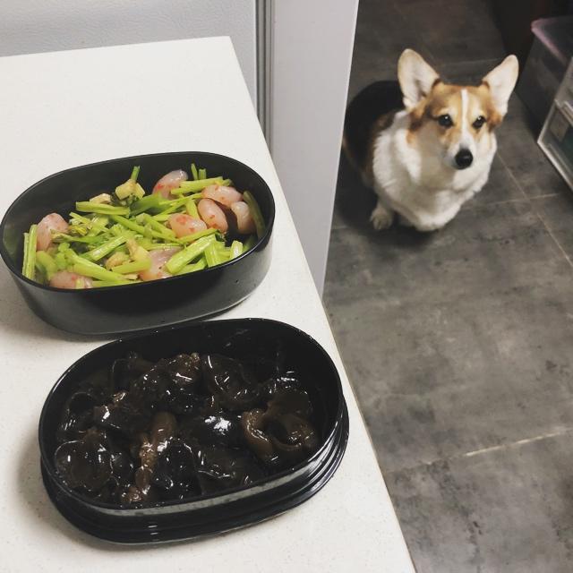 OAの便当