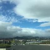 听风听雨声的我