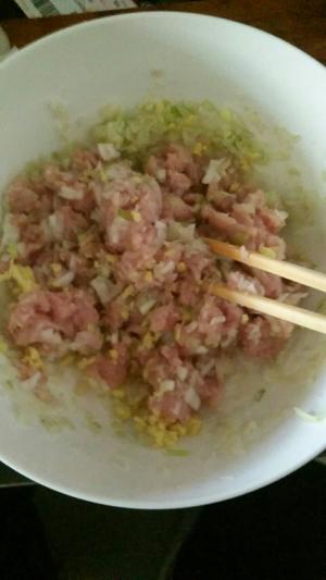 猪肉大葱饺子馅的做法 步骤3