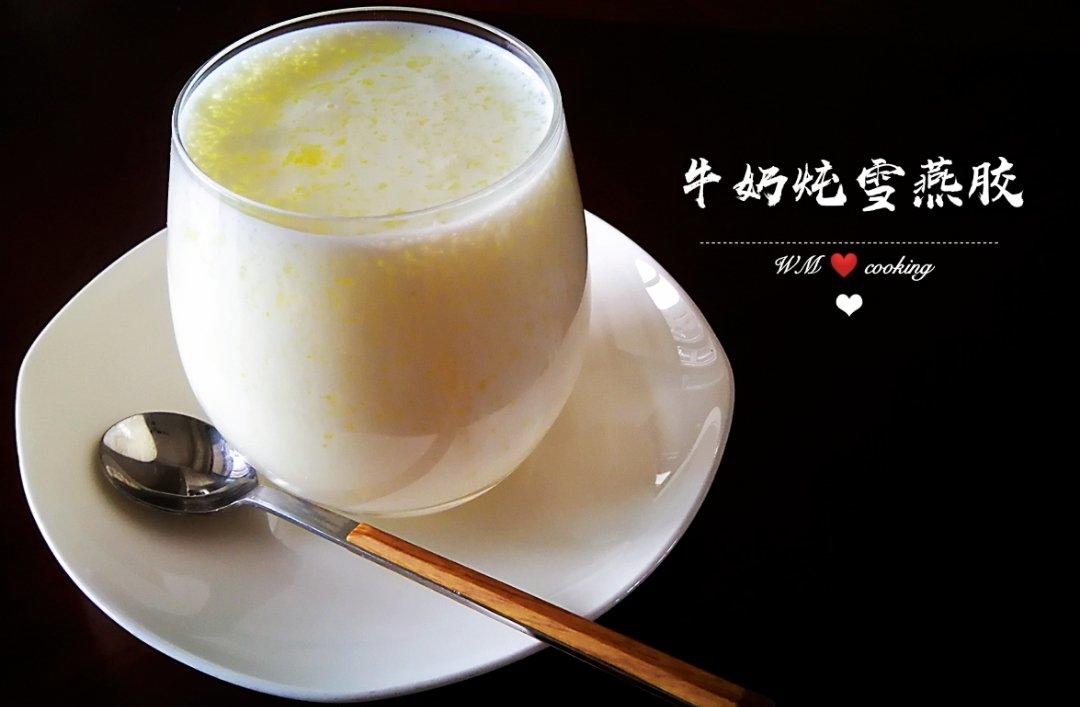 雪燕炖牛奶