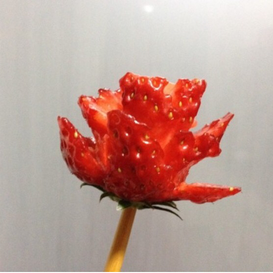 ❤草莓之恋❤情人节草莓玫瑰花