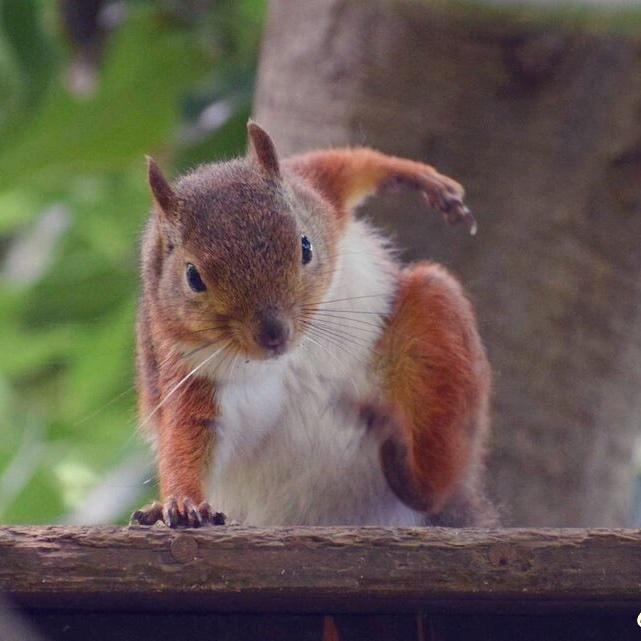 吃喝不愁全靠吹牛