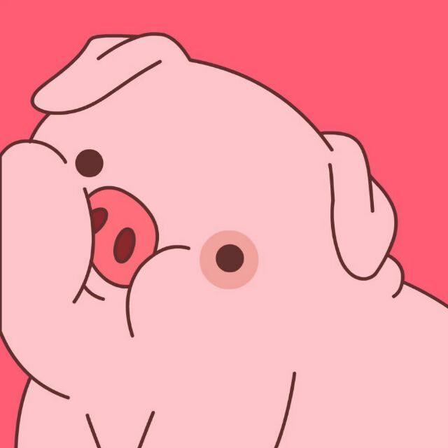诶你个小萝卜头