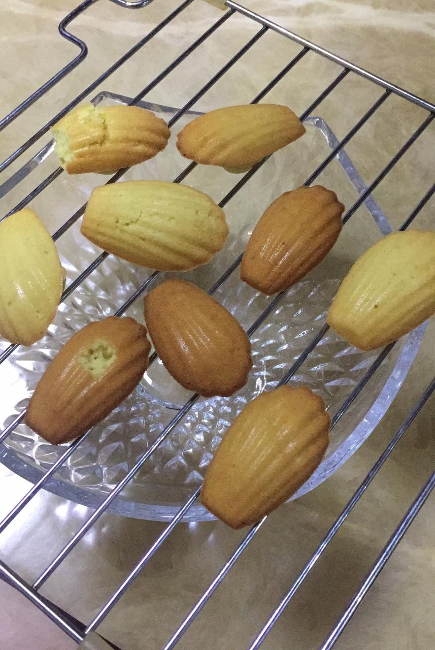 橙香玛德琳（植物油版）