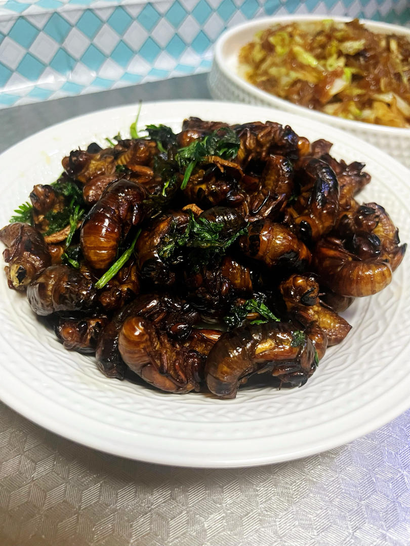 油炸金蝉